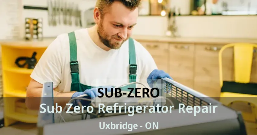 Sub Zero Refrigerator Repair Uxbridge - ON