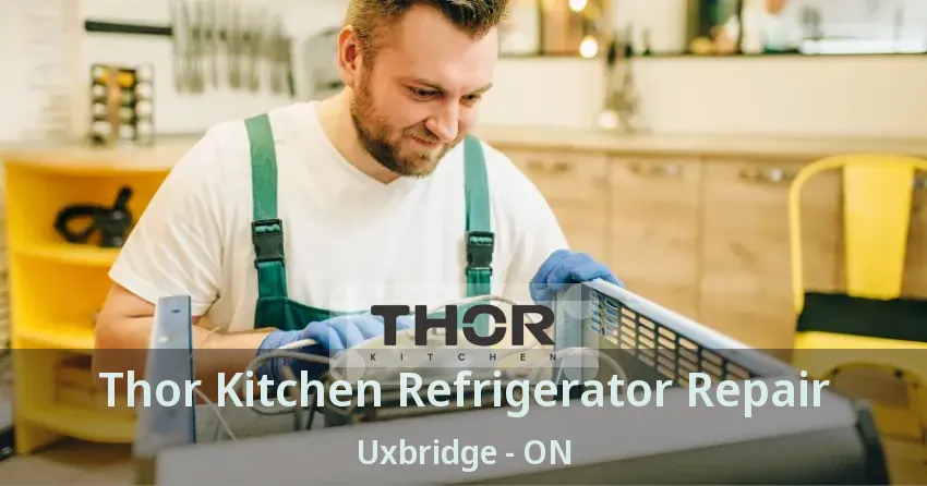 Thor Kitchen Refrigerator Repair Uxbridge - ON
