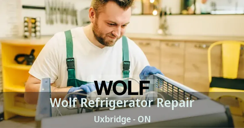 Wolf Refrigerator Repair Uxbridge - ON
