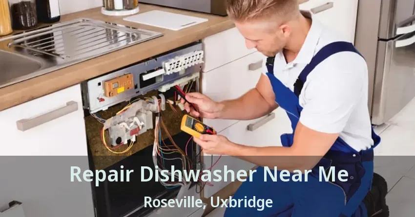 Repair Dishwasher Near Me Roseville, Uxbridge - ON