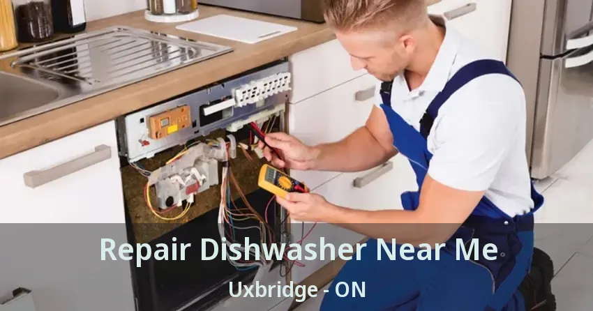 Repair Dishwasher Near Me Uxbridge - ON