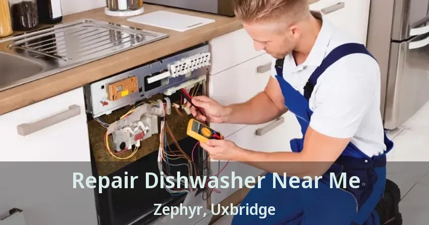 Repair Dishwasher Near Me Zephyr, Uxbridge - ON