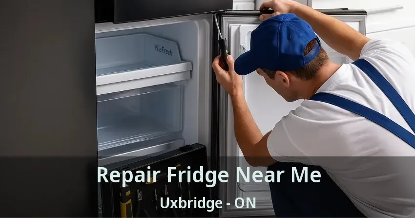 Repair Fridge Near Me Uxbridge - ON