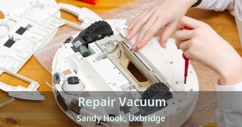 Repair Vacuum Sandy Hook, Uxbridge - ON