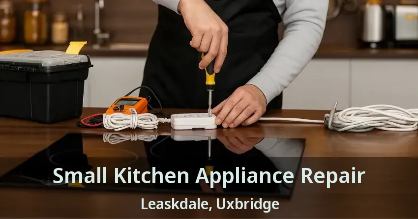 Small Kitchen Appliance Repair Leaskdale, Uxbridge - ON