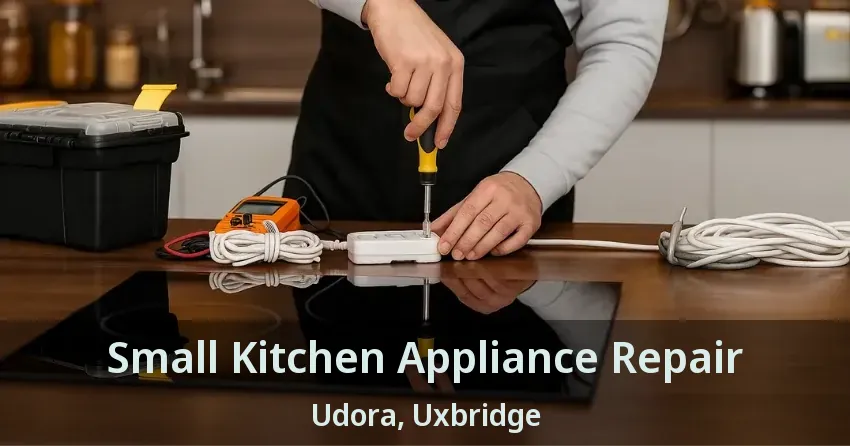 Small Kitchen Appliance Repair Udora, Uxbridge - ON