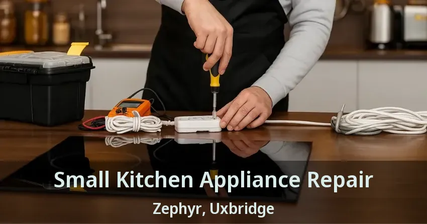 Small Kitchen Appliance Repair Zephyr, Uxbridge - ON