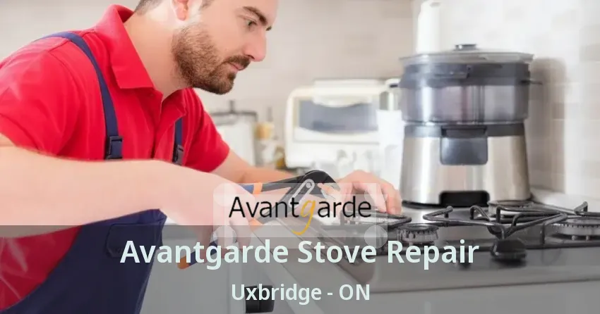 Avantgarde Stove Repair Uxbridge - ON