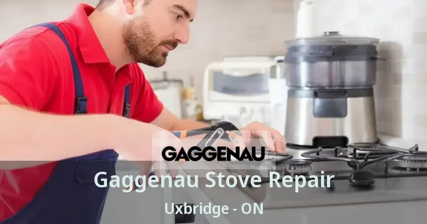 Gaggenau Stove Repair Uxbridge - ON