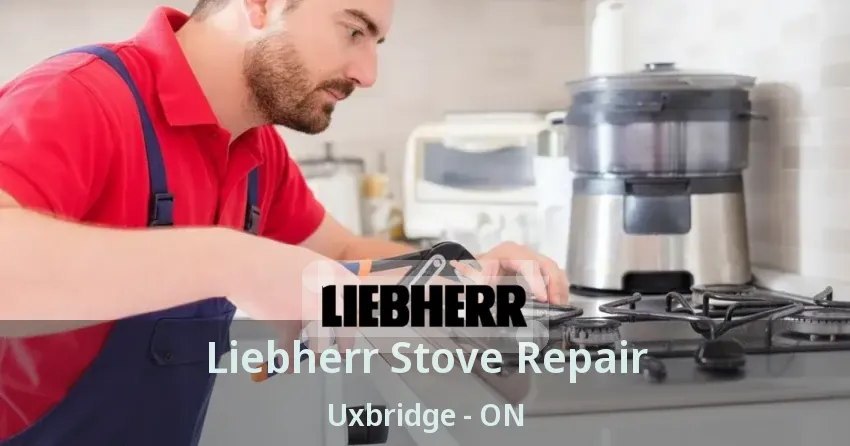 Liebherr Stove Repair Uxbridge - ON