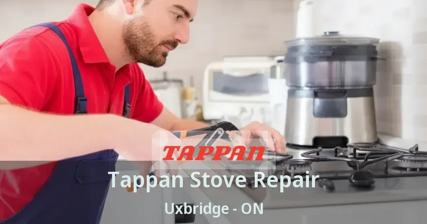 Tappan Stove Repair Uxbridge - ON