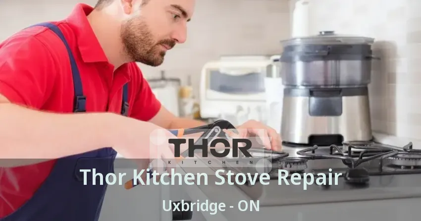 Thor Kitchen Stove Repair Uxbridge - ON