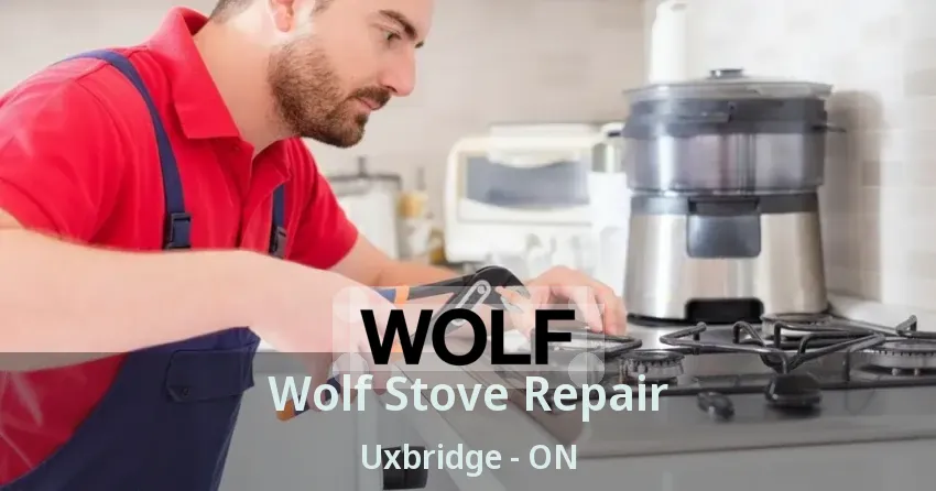 Wolf Stove Repair Uxbridge - ON
