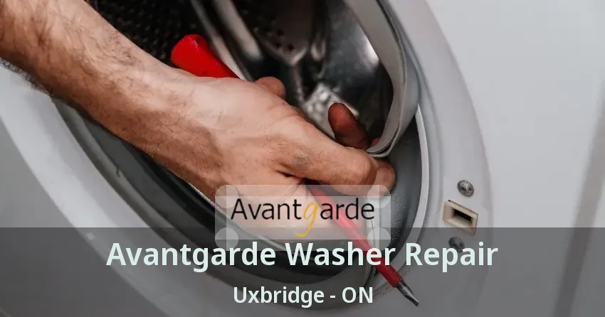Avantgarde Washer Repair Uxbridge - ON