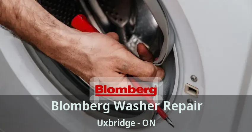 Blomberg Washer Repair Uxbridge - ON