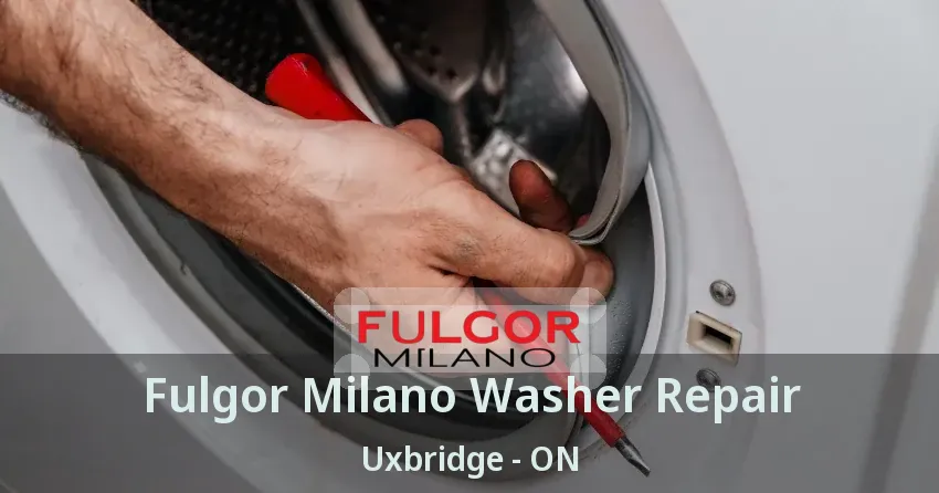 Fulgor Milano Washer Repair Uxbridge - ON