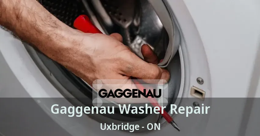 Gaggenau Washer Repair Uxbridge - ON