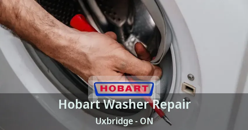 Hobart Washer Repair Uxbridge - ON