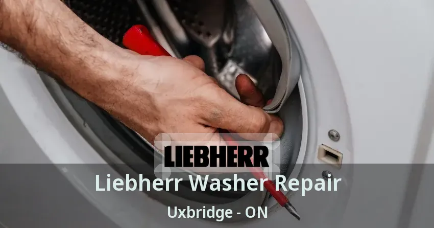 Liebherr Washer Repair Uxbridge - ON