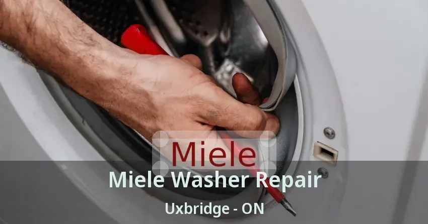 Miele Washer Repair Uxbridge - ON