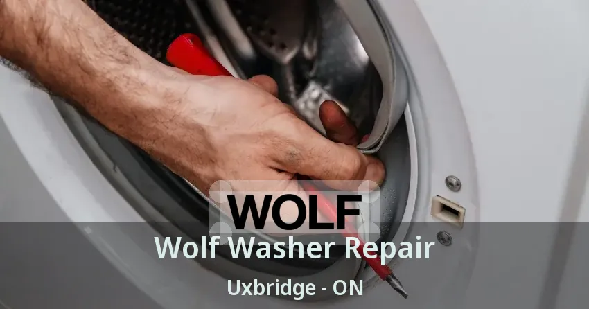 Wolf Washer Repair Uxbridge - ON